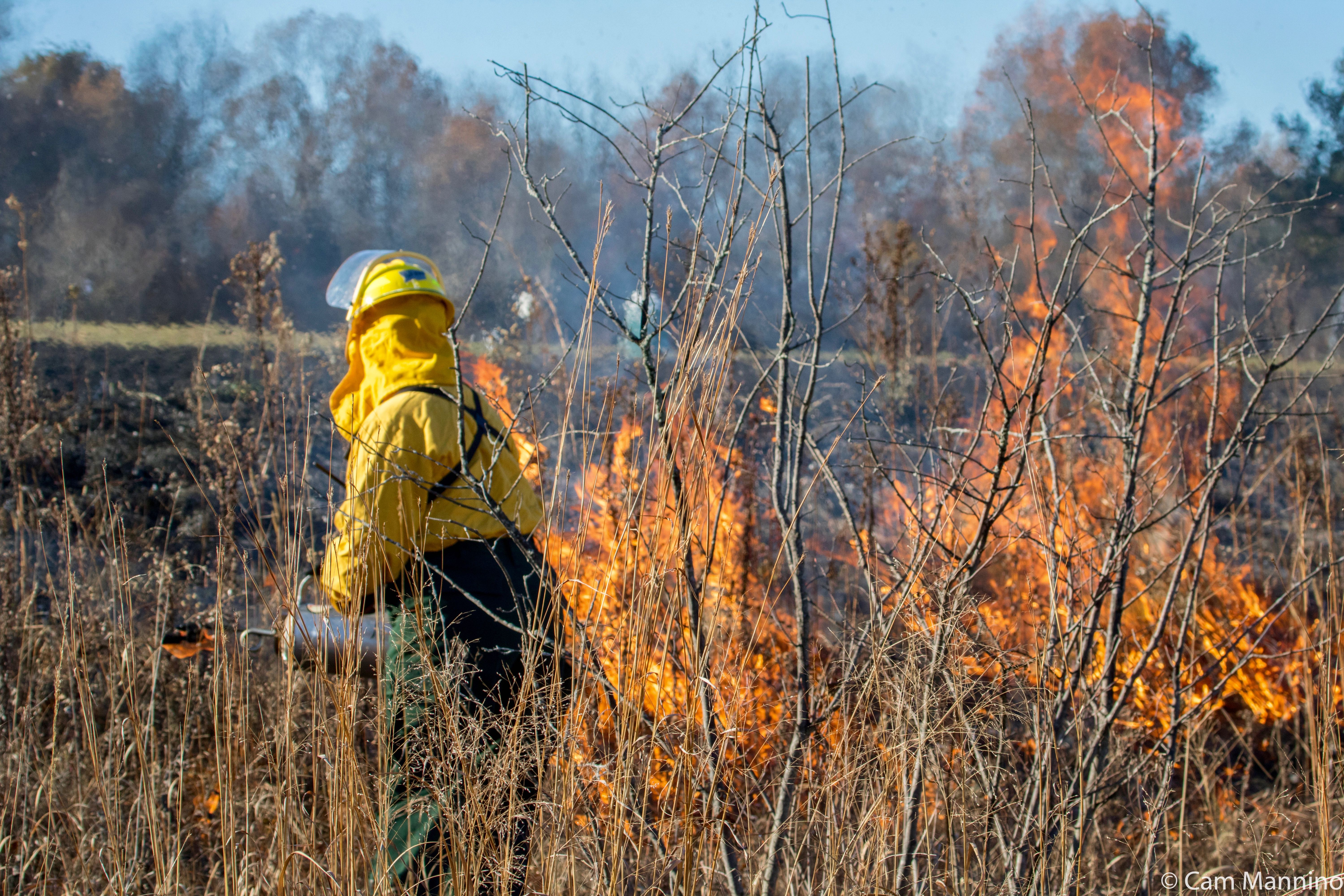 Fire In Place Photos of the Week: Restoring Nature’s Beauty with Fire? Yep! | Natural ...